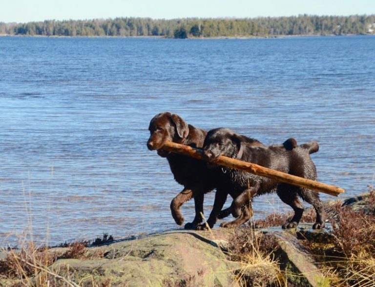 Samträning 12/5