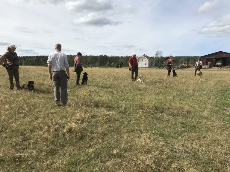 WT mästerskap 2018
