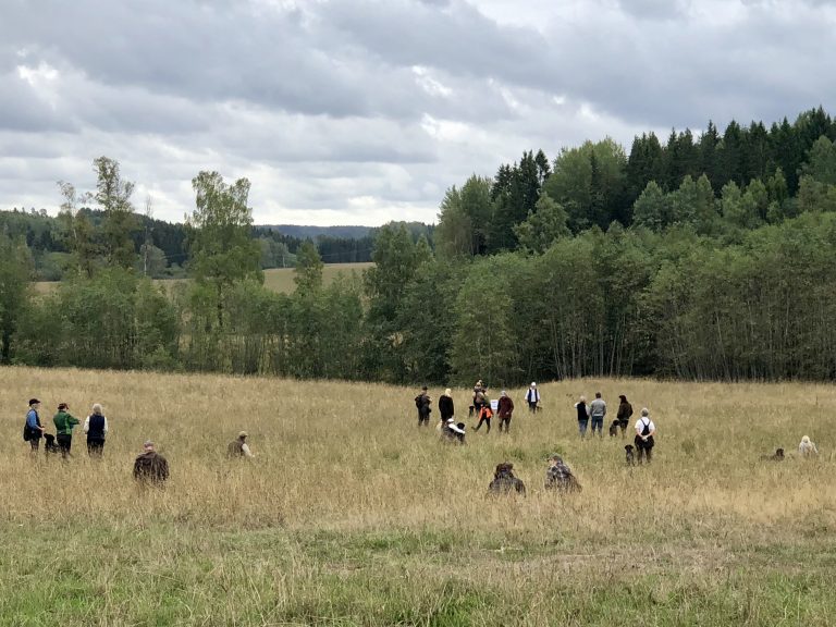 Resultat Labradormästerskapet