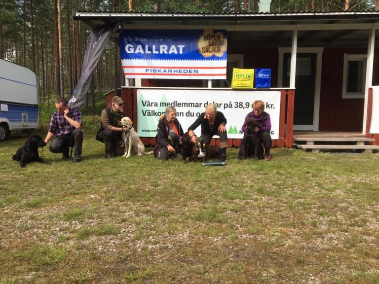 Viltspårmästerskap 2019 är avgjort!