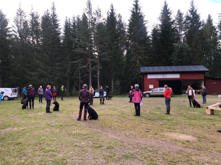 Resultat – Värmlandsmästerskap i viltspår