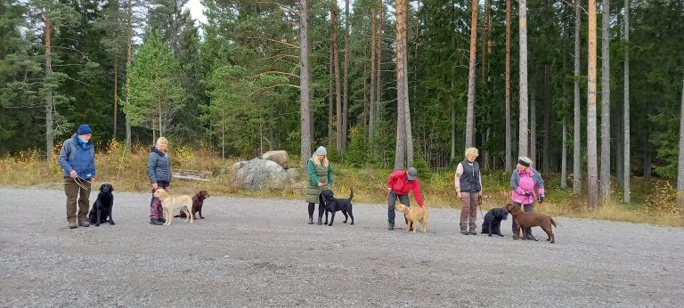 Reportage ”Prova på”-dag