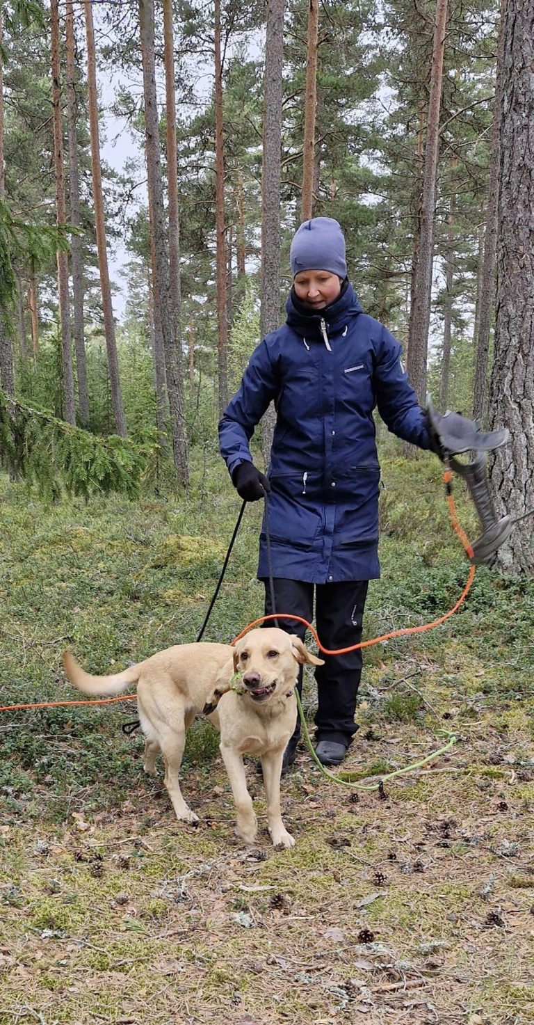 Viltspårskurs nybörjare i Kristinehamn/Karlstad i höst