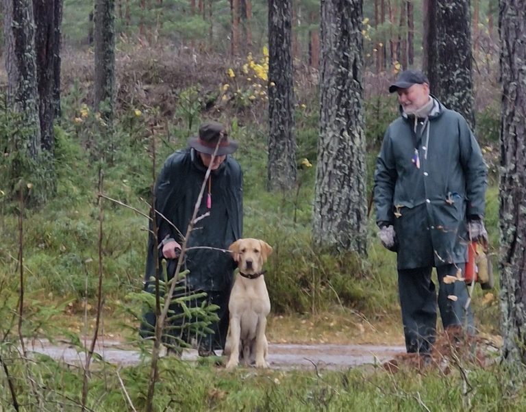 Vardagslydnad/apporteringskurs