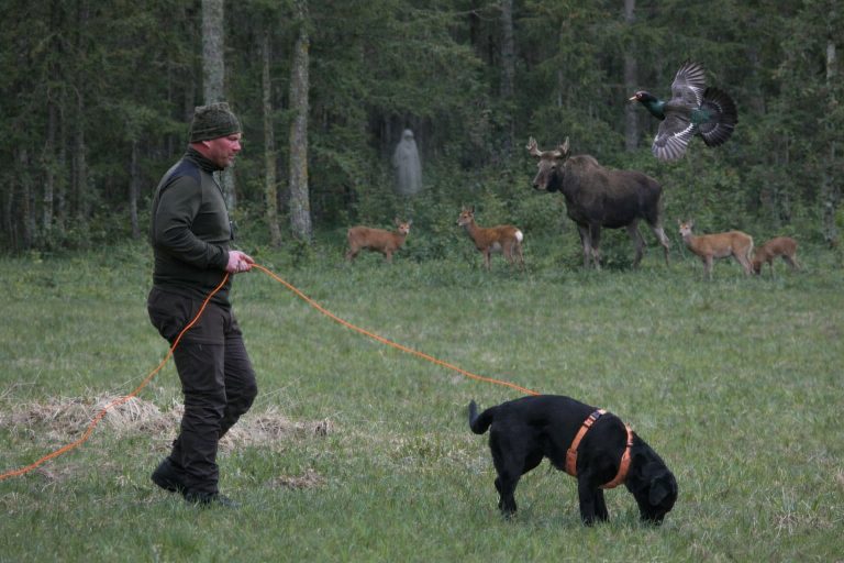 Välkomna att anmäla er till Fasaskogscupen!