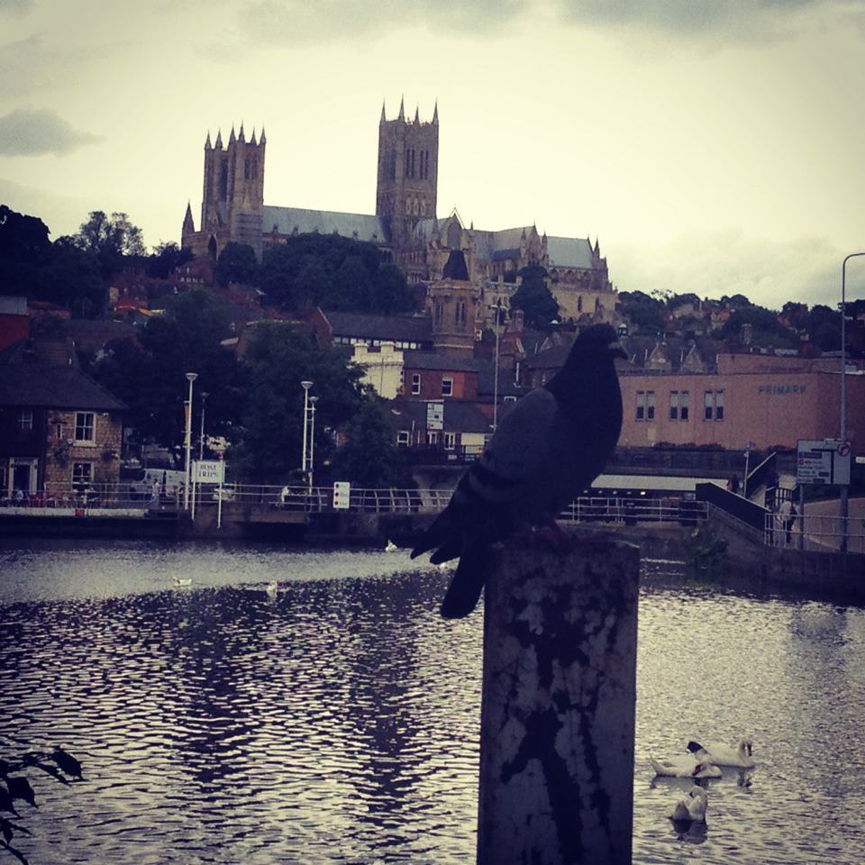 Brayford Pool. Photo: David Wriglesworth