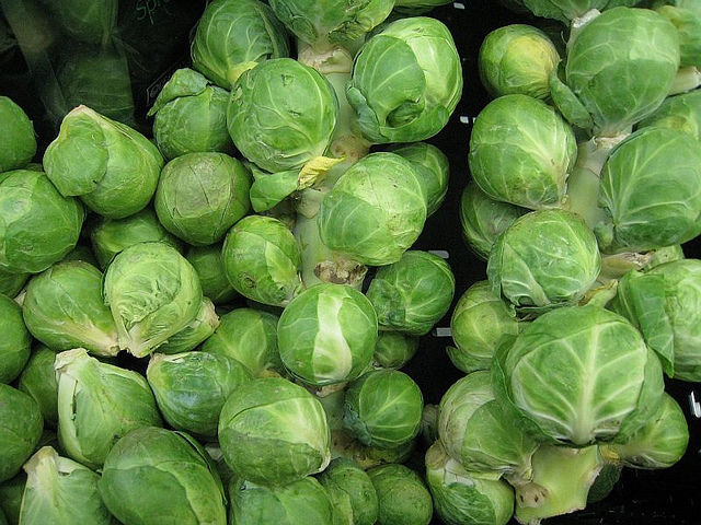 Brussel sprouts face shortage after moths blasted the vegetable this summer.