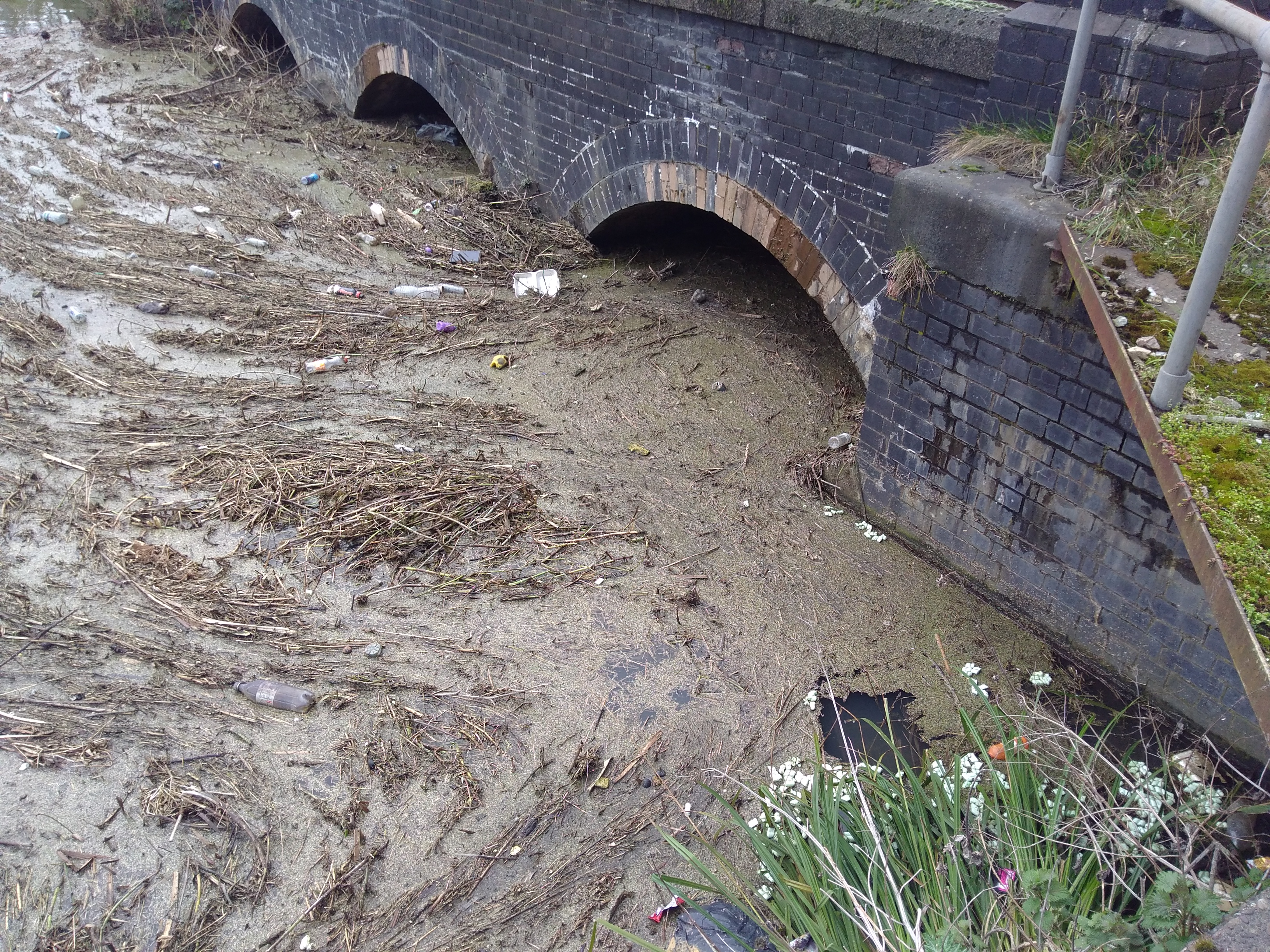 The Brayford Pool has been getting dirtier in the last few days.