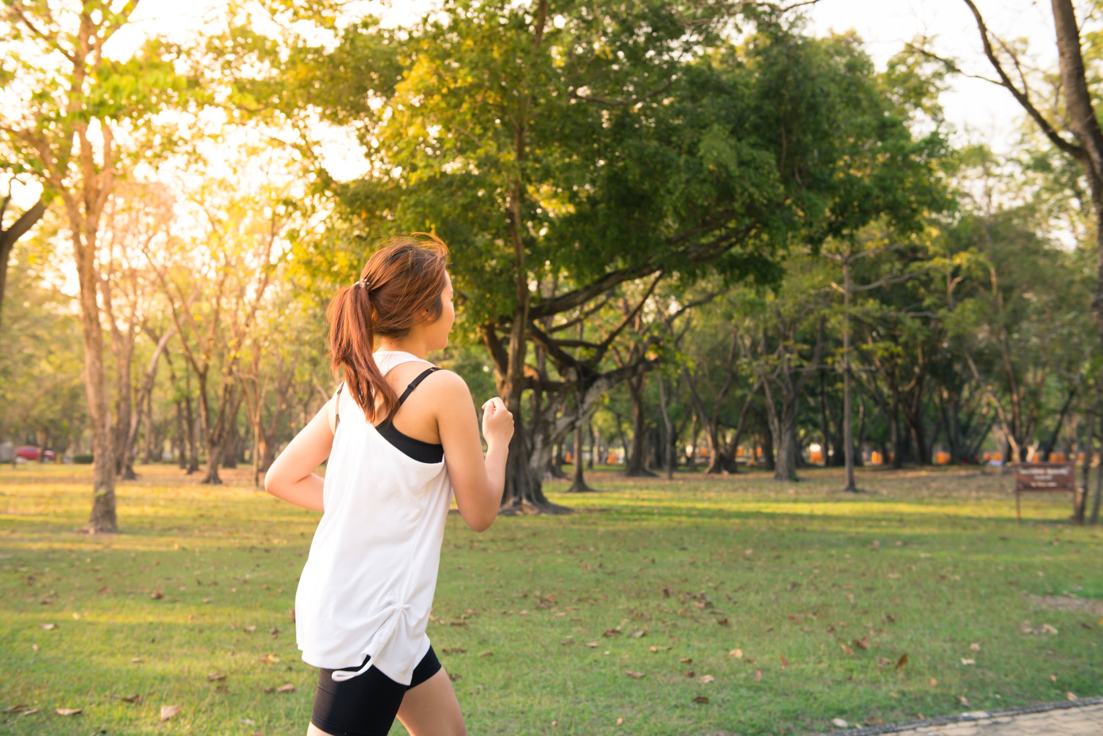 Lincolnshire County Council are trying to introduce daily physical activity