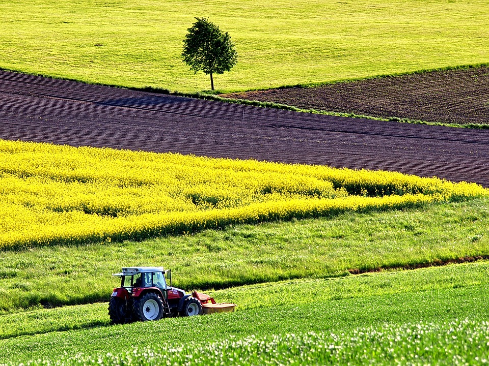 Farming