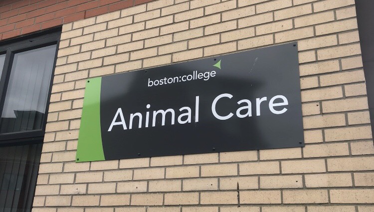 Boston College Animal Centre