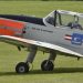 The de Havilland Chipmunk celebrated