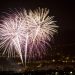 ‘It terrifies animals’: RSPCA urges consideration for pets and wildlife during firework season