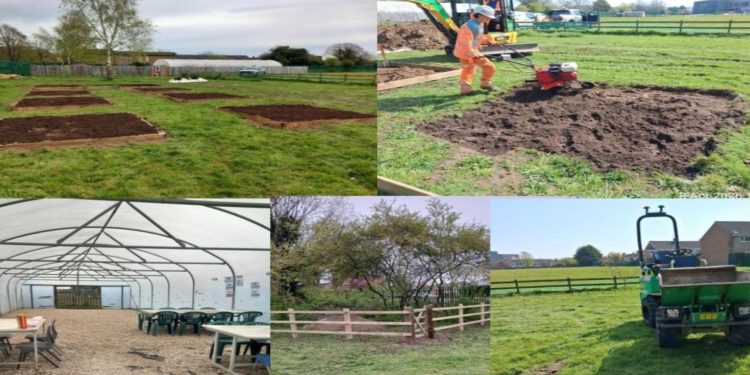 School field transformed into fruit and veg garden for SEND pupils