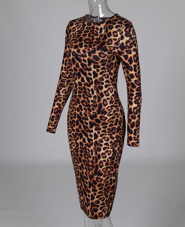 Animal Print Bodycon Dress