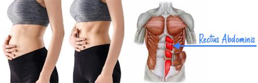 rectus-abdominis-ontspannen middenrif massage ontspan je buik en adem vrijer