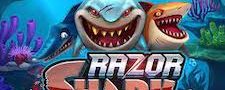 Razor Shark