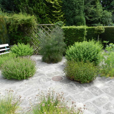 Help yourself to herbs in the garden at the Manor House