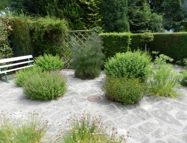 Help yourself to herbs in the garden at the Manor House