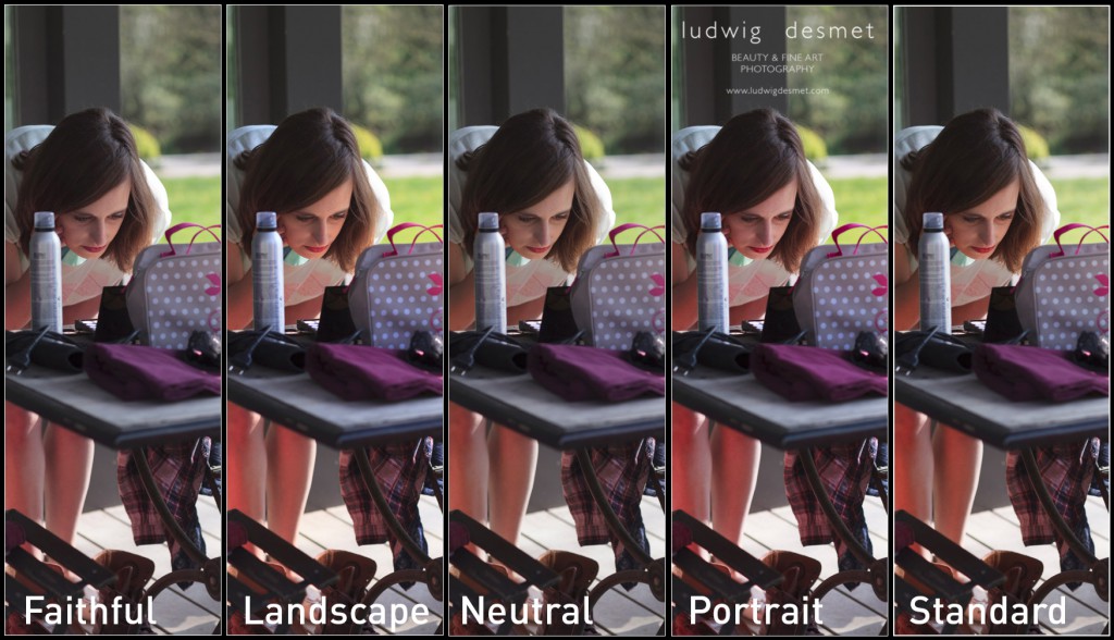 Camera calibration explained part I ludwig desmet