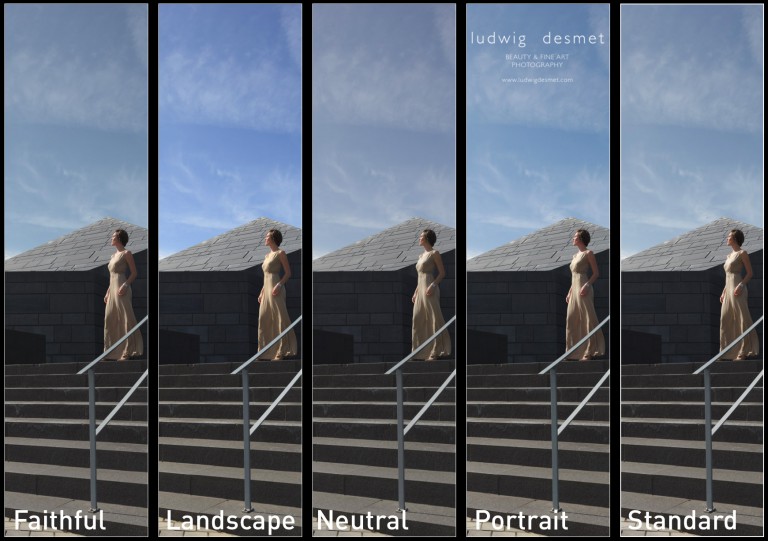 Camera calibration explained part I ludwig desmet
