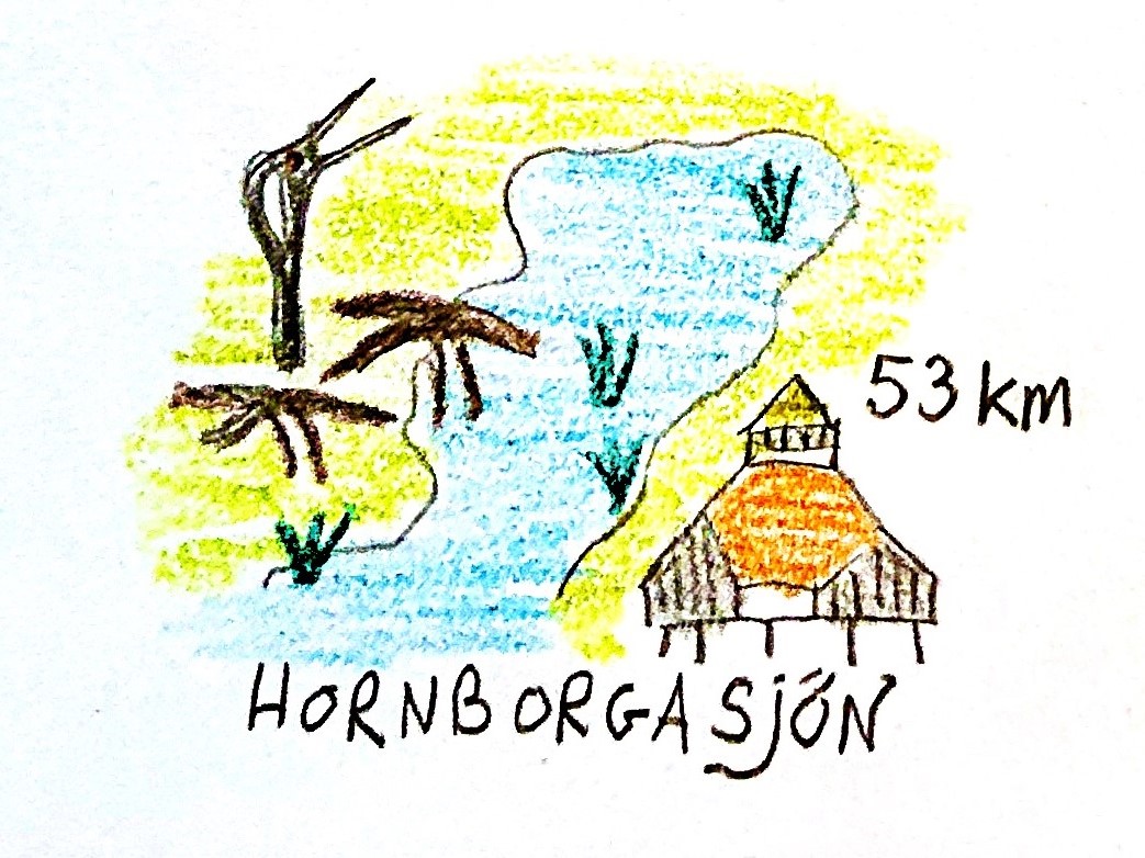 Hornborgasjön