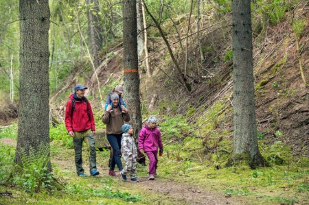 Familj på vandring i skog kantad av kvarnstenar