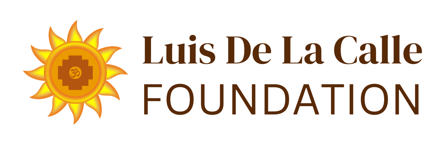 LDLC Foundation logo fondo blanco Luis De La Calle Foundation