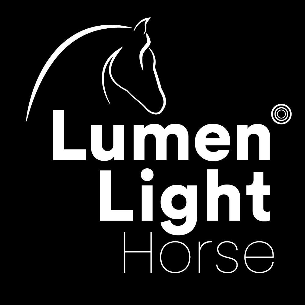 LumenLight Horse