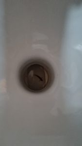 Fisk fanget i toilettet