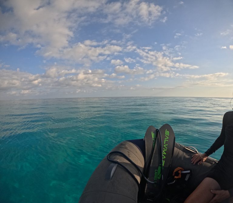 Snorkeltur, San Blas, Marts 2024