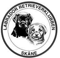 Labradorklubben hyr stugan för årsmöte