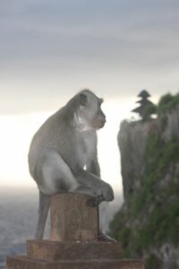 Bali temple d'Uluwatu