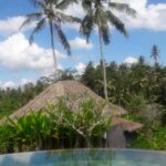 piscine avec vue sur la végétation tropicale