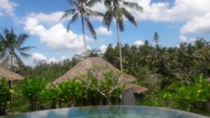 piscine avec vue sur la végétation tropicale