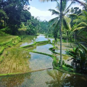Lune de Miel Bali