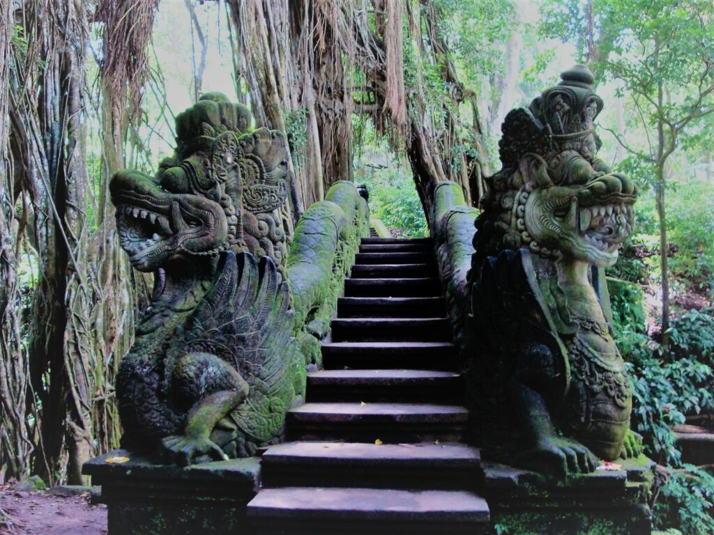 forêt des singes, Ubud, Bali, Indonésie