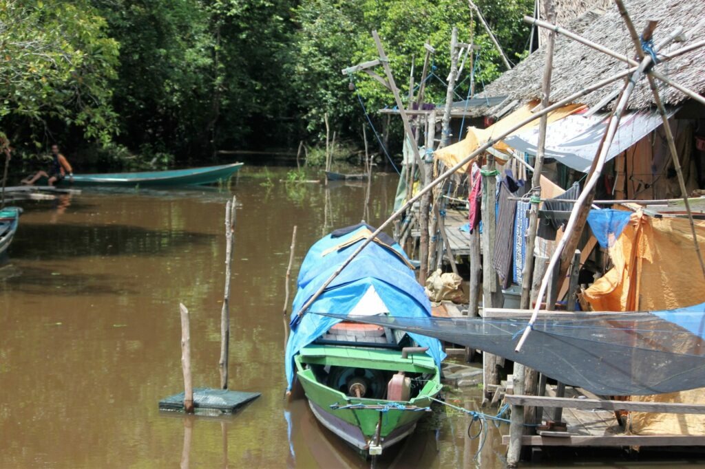 borneo