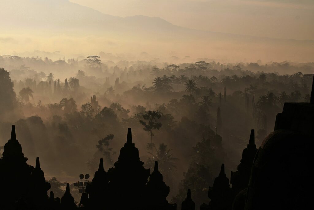 vue jungle, Borobudur, Java, Indonésie