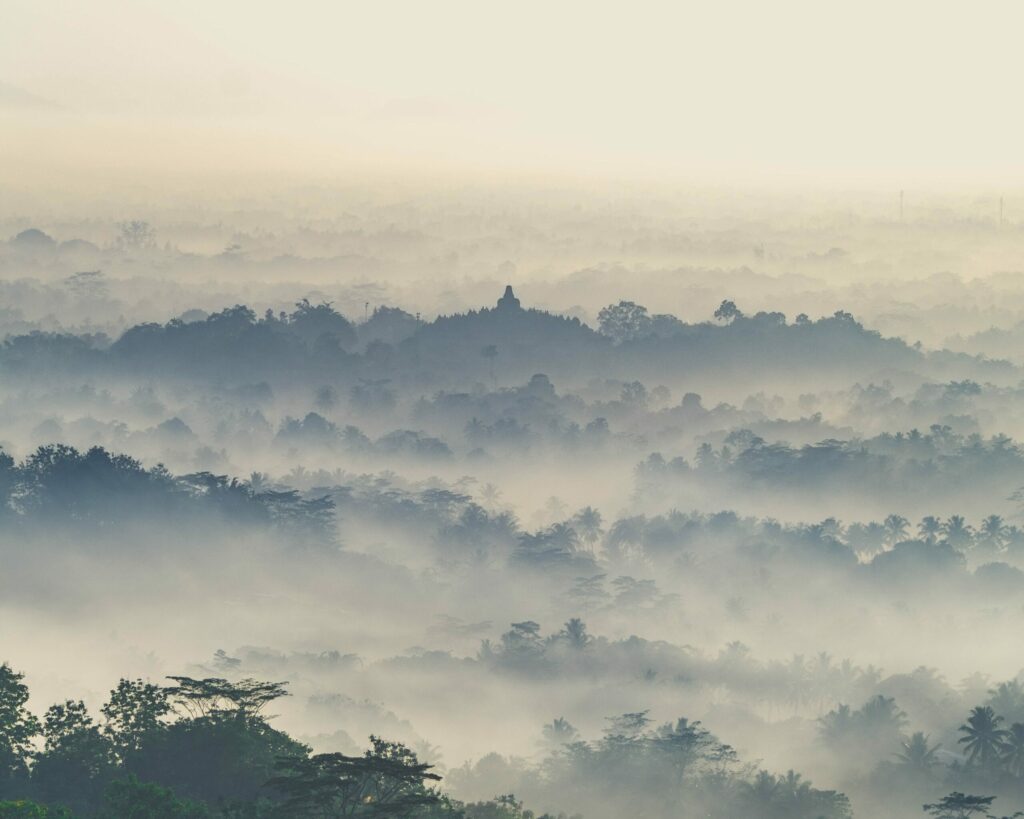 vue jungle et borobudur, Java, Indonésie
