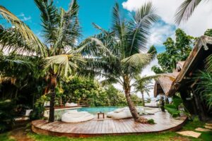 petite piscine sous les palmiers