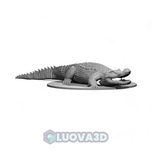 Crocodile