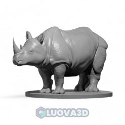 Rhinoceros