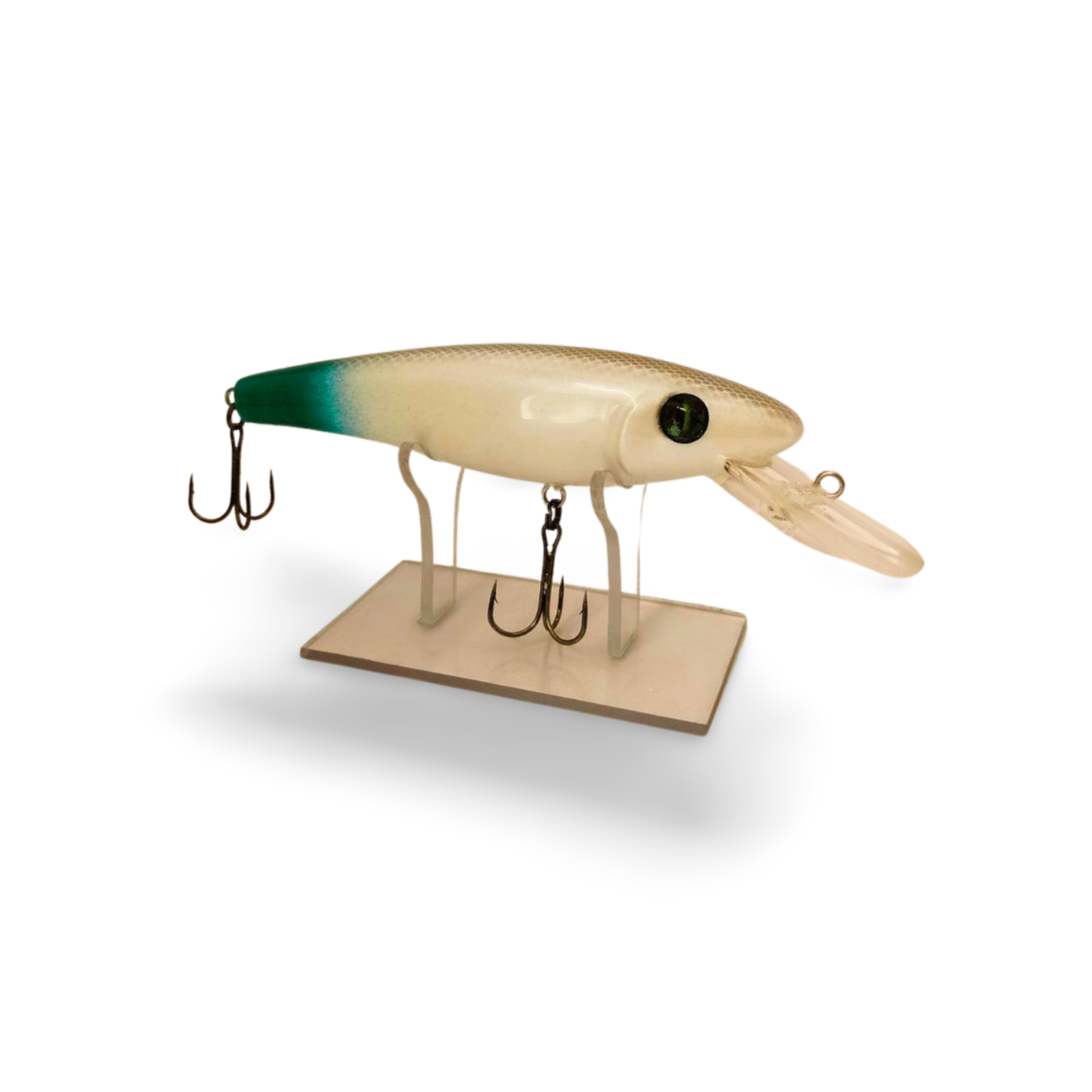 Crankbait Ernie, CBE001 2 IMG20240625141821