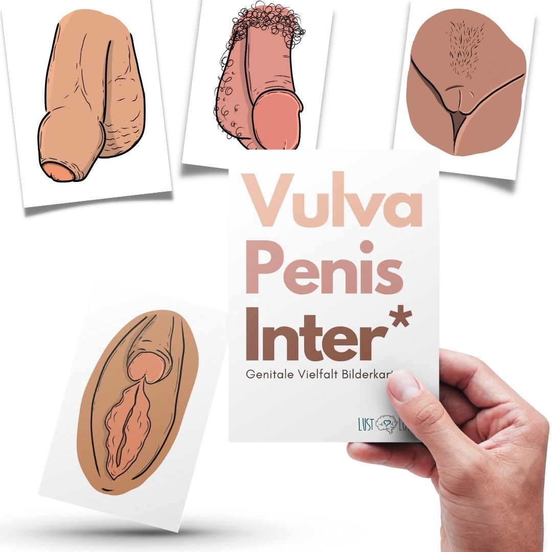 Bildkarten Penis, Vulva, Inter*