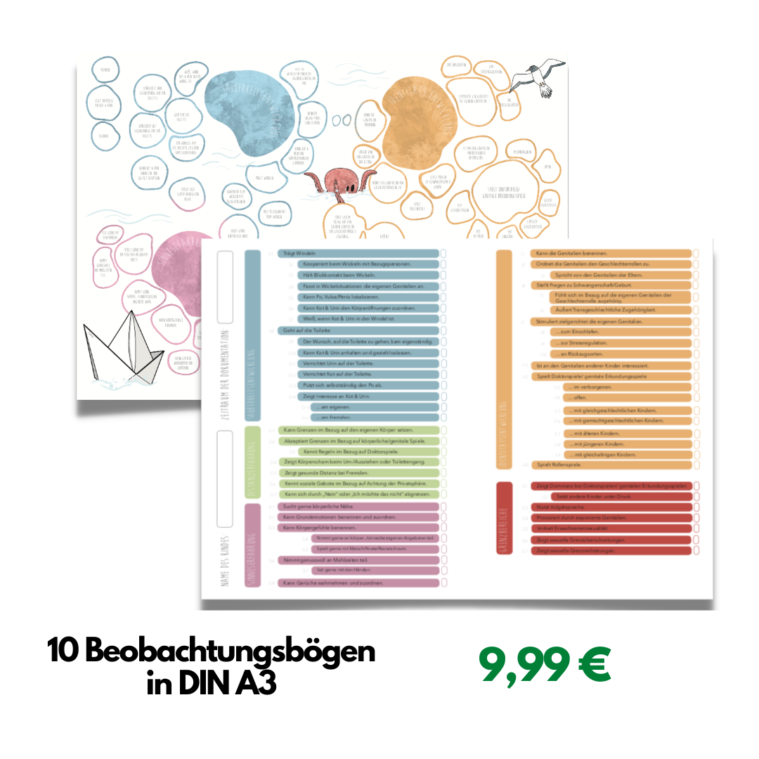SAIM® Entwicklungsdokumentation - Kindergarten \