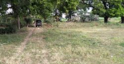 Agricultural land for lease (Batangas)- 7767 SQ METERS