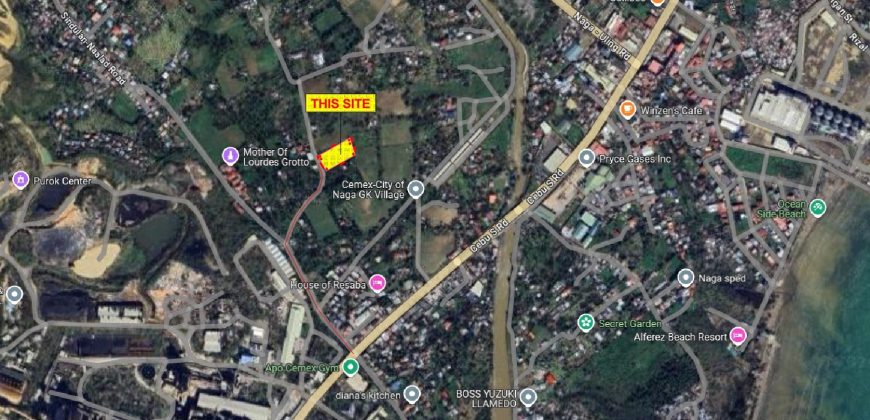 TITLED VACANT LOT IN TINAAN NAGA CEBU RUSH SALE!