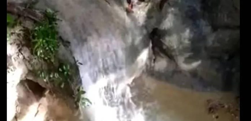 Prime Loboc Land for Sale