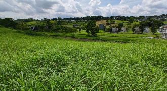 🏡 BEST VALUE LOT DEAL in Colinas Verdes – Prime Residential Lot for Only ₱3M! 🌄